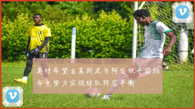奥特希望吉莱斯皮与阿伦联手搭档布克努力实现球队阵容平衡