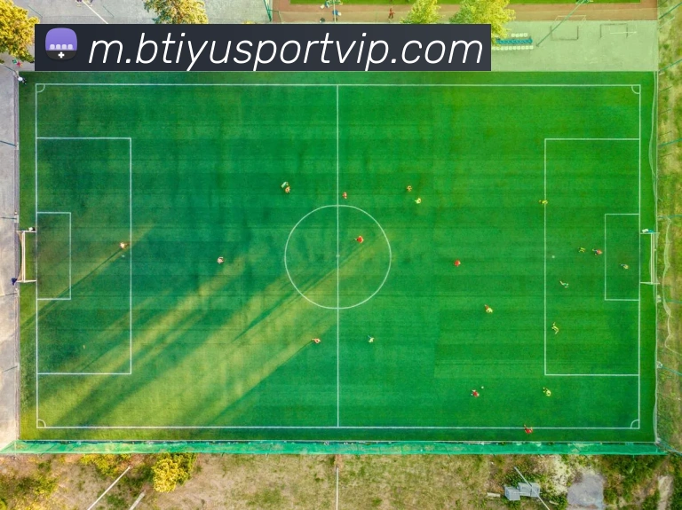 B体育平台生态图